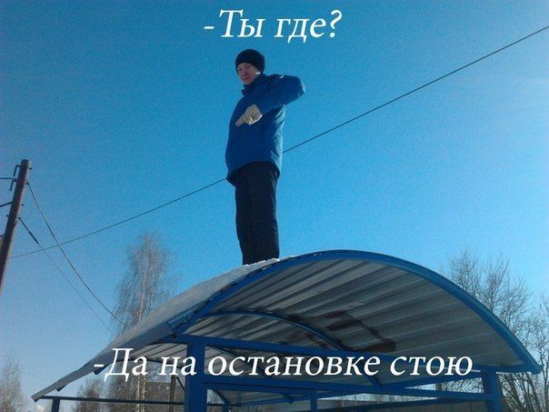Прикольные картинки (86 фото)
