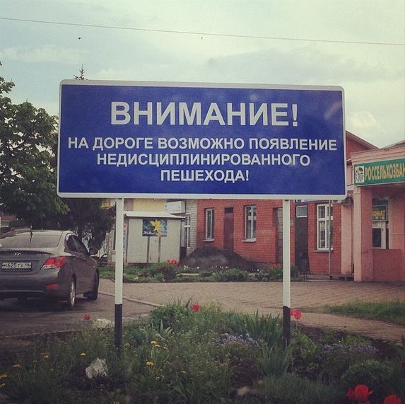 Прикольные картинки (86 фото)