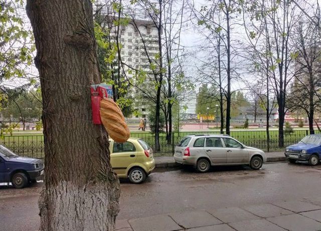 Только в России (40 фото)