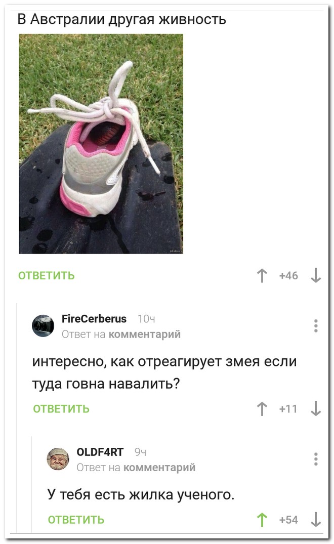 Забавные комментарии из социальных сетей