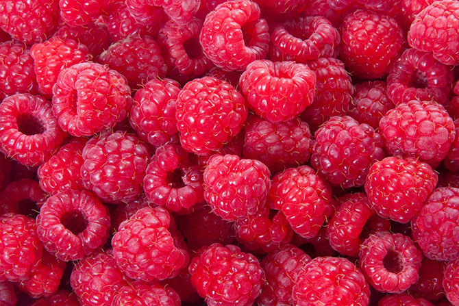10 продуктов для лета 10 продуктов для лета