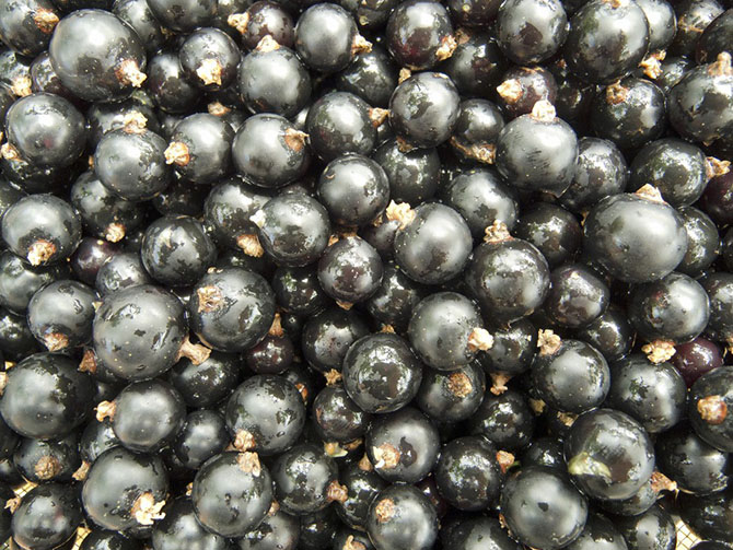 10 продуктов для лета 10 продуктов для лета