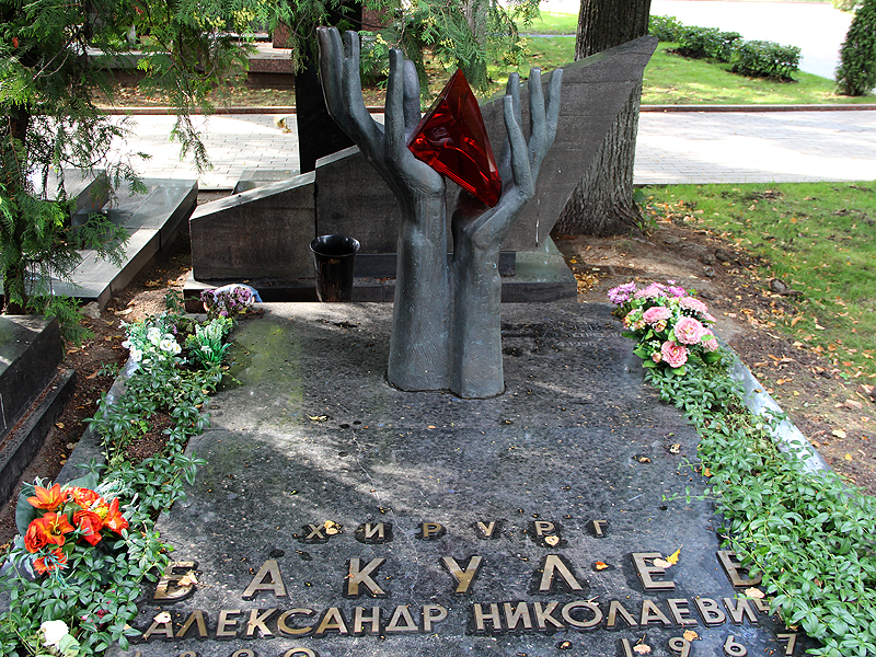 Новодевичье кладбище – Покой великих (55 фото)