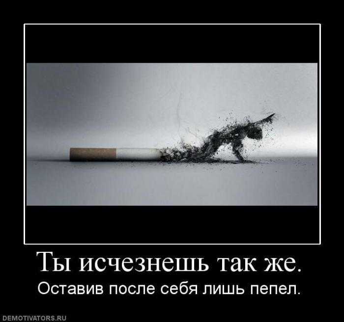Демотиваторы (32 фото)