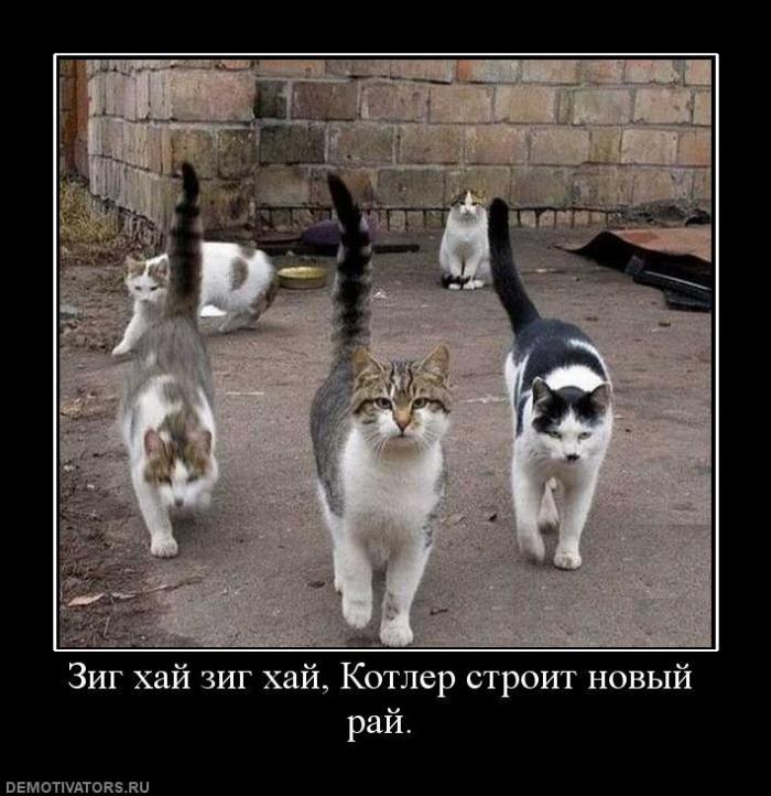 Демотиваторы (32 фото)