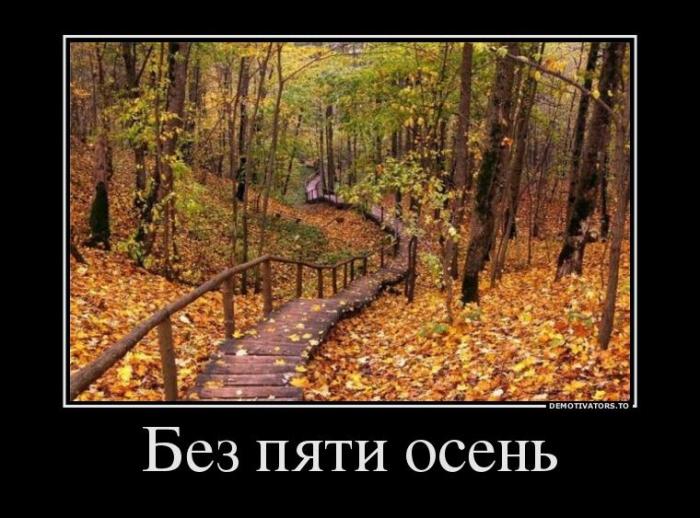 Демотиваторы (32 фото)