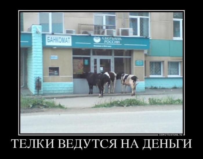 Демотиваторы (32 фото)