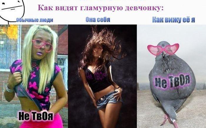Прикольные картинки (43 фото)