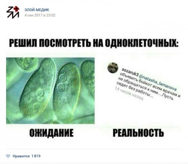Юмор врачей