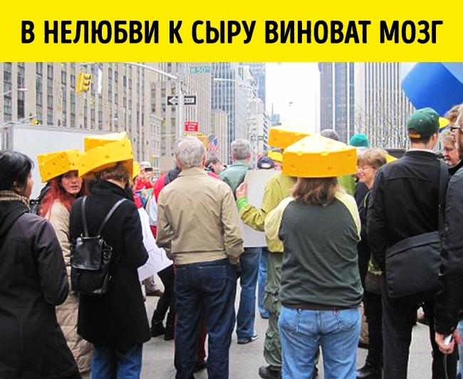 11 реальных открытий ученых, которые больше похожи на шутку 11 реальных открытий ученых, которые больше похожи на шутку