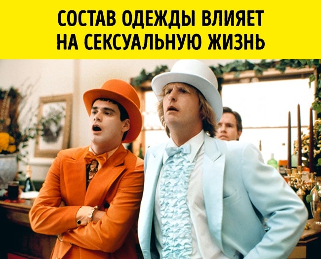 11 реальных открытий ученых, которые больше похожи на шутку 11 реальных открытий ученых, которые больше похожи на шутку