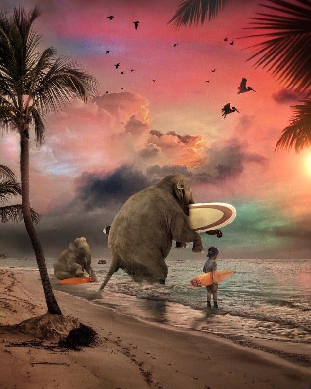 Сказочный мир Марселя ван Льюита