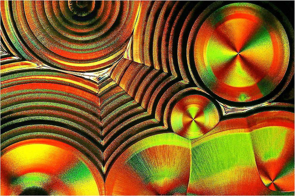 Конкурс микрофотографии Nikon small world 2012 Конкурс микрофотографии Nikon small world 2012