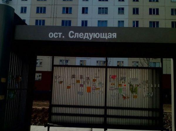 Прикольные картинки (45 фото)