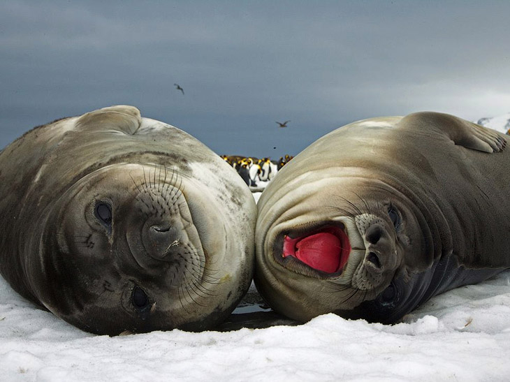 National Geographic: лучшие фотографии октября National Geographic: лучшие фотографии октября
