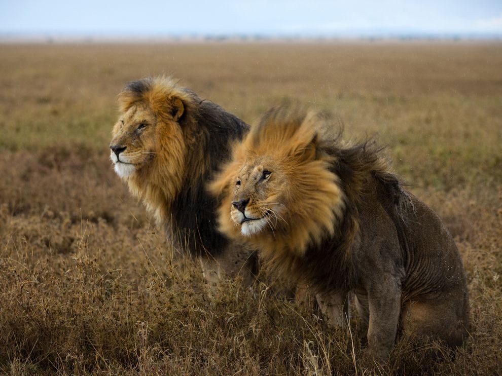National Geographic: лучшие фотографии октября National Geographic: лучшие фотографии октября