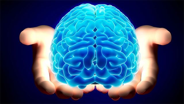Интересные факты о левшах Интересные факты о левшах