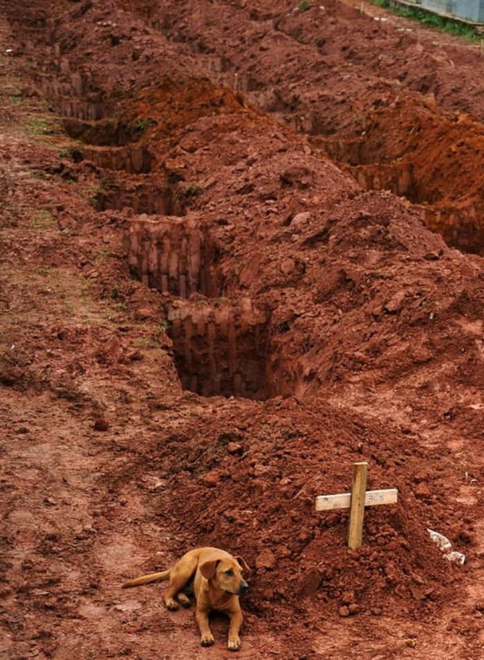 Сильные фотографии Сильные фотографии