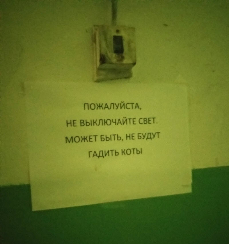 Удивительные снимки с российских просторов