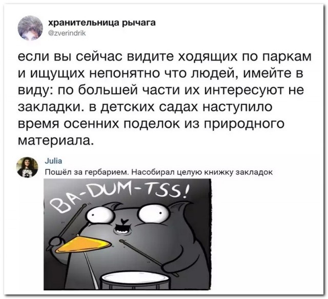 Шутки, высказывания и комментарии из социальных сетей
