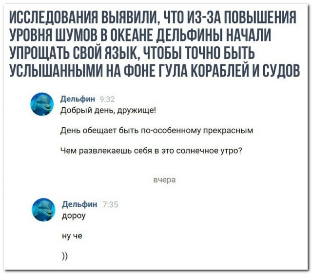 Шутки, высказывания и комментарии из социальных сетей