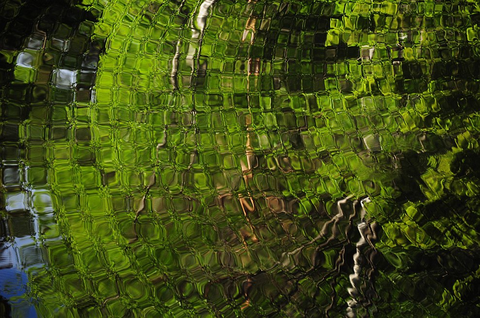 Лучшее с конкурса фотографии National Geographic 2012. Часть 2 Лучшее с конкурса фотографии National Geographic 2012. Часть 2