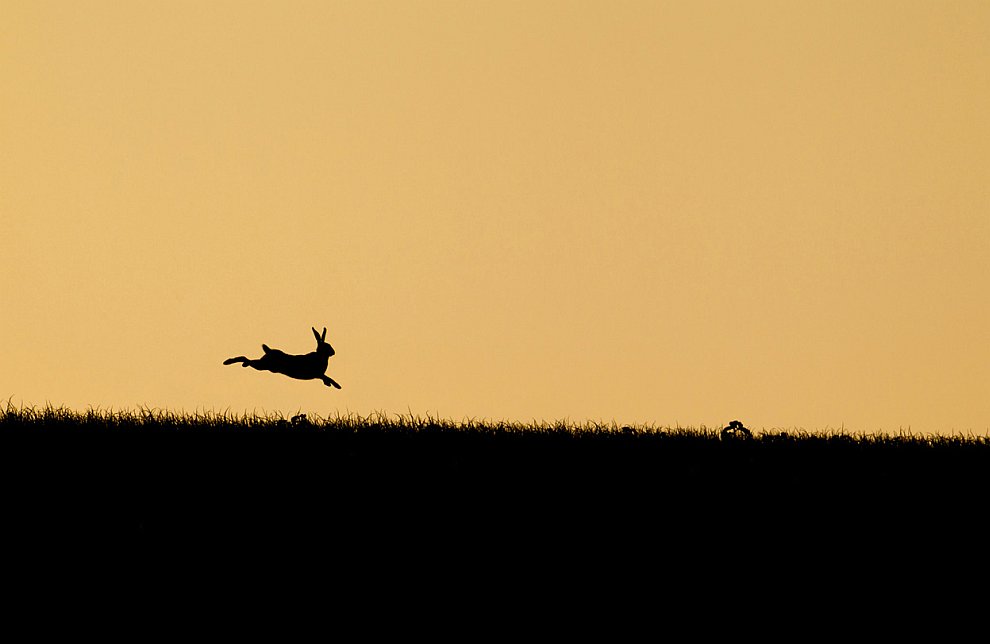 Лучшее с конкурса фотографии National Geographic 2012. Часть 2 Лучшее с конкурса фотографии National Geographic 2012. Часть 2