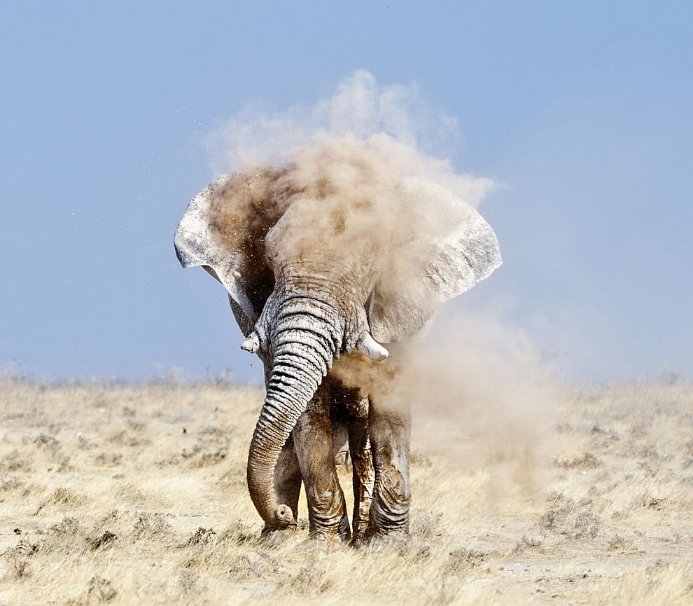 Лучшее с конкурса фотографии National Geographic 2012. Часть 2 Лучшее с конкурса фотографии National Geographic 2012. Часть 2