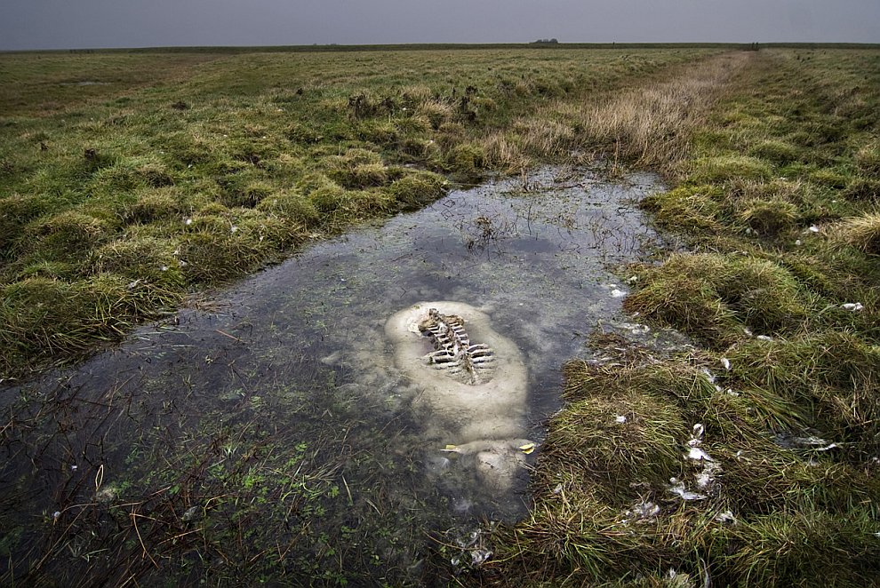 Лучшее с конкурса фотографии National Geographic 2012. Часть 2 Лучшее с конкурса фотографии National Geographic 2012. Часть 2