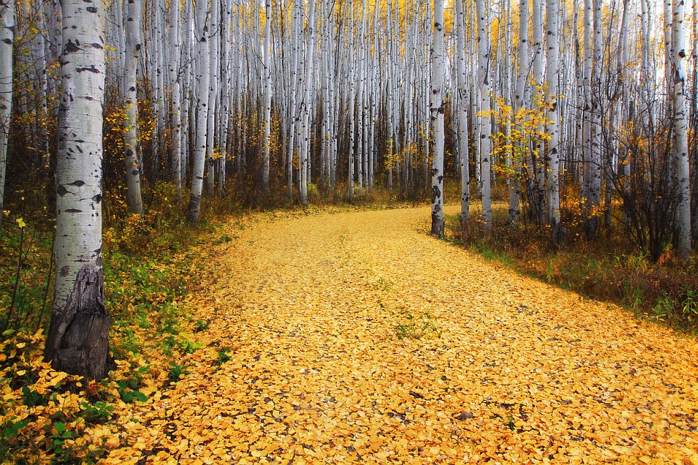 Лучшее с конкурса фотографии National Geographic 2012. Часть 2 Лучшее с конкурса фотографии National Geographic 2012. Часть 2