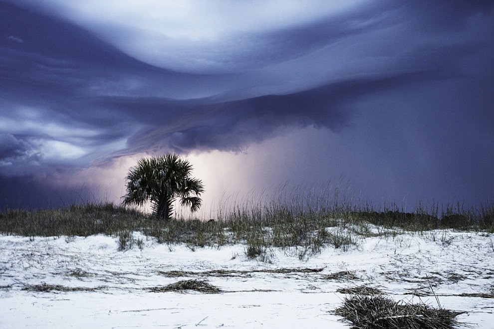 Лучшее с конкурса фотографии National Geographic 2012. Часть 2 Лучшее с конкурса фотографии National Geographic 2012. Часть 2