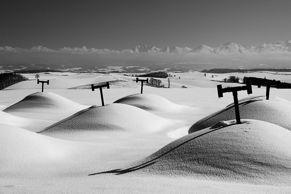 Лучшее с конкурса фотографии National Geographic 2012. Часть 2 Лучшее с конкурса фотографии National Geographic 2012. Часть 2
