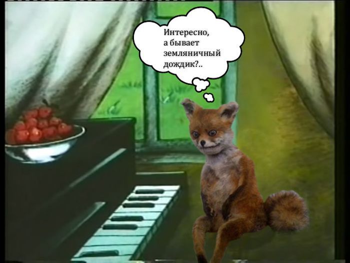 Лучшее чучело лисы