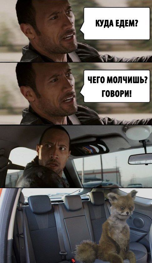 Лучшее чучело лисы