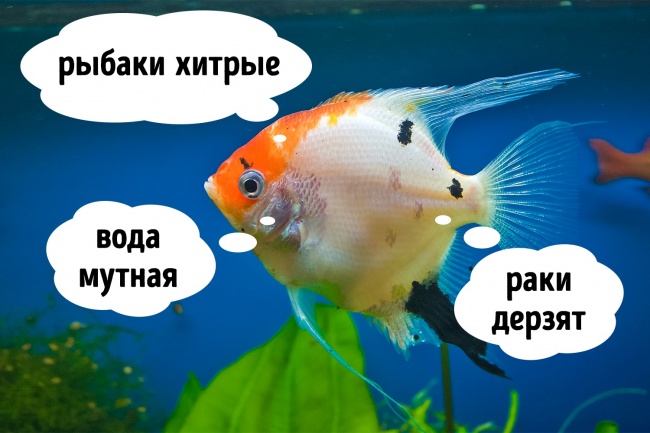 Ученым всегда есть чем удивить. Они рассказали об этих 11 вещах то, что мы никак не ожидали услышать Ученым всегда есть чем удивить. Они рассказали об этих 11 вещах то, что мы никак не ожидали услышать