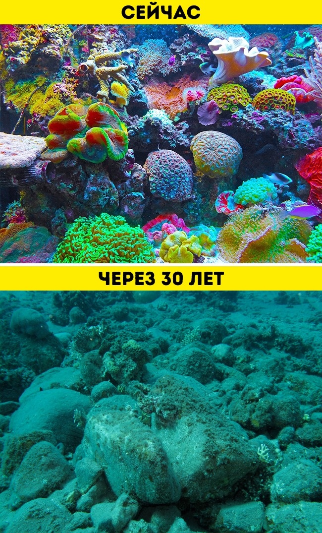Ученые предсказали, какой будет Земля через миллионы лет, и им не так-то легко поверить Ученые предсказали, какой будет Земля через миллионы лет, и им не так-то легко поверить