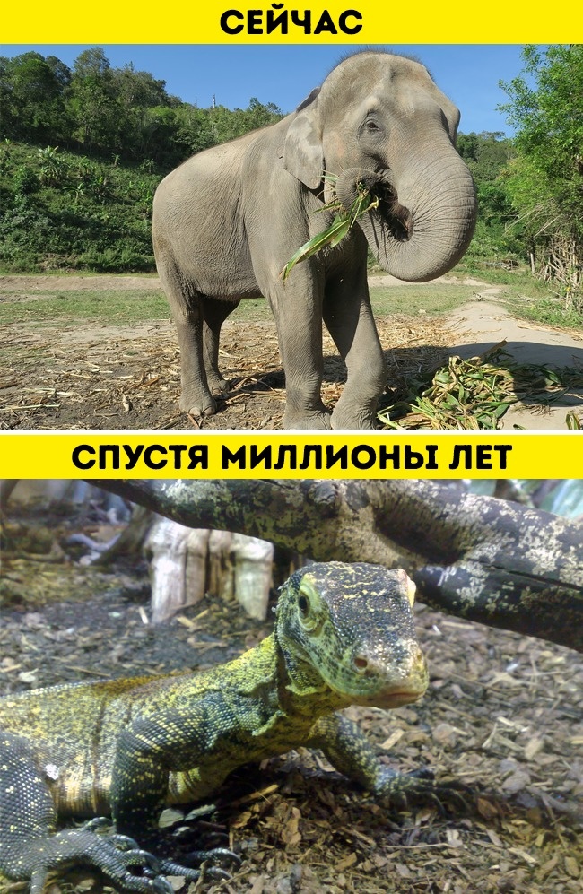 Ученые предсказали, какой будет Земля через миллионы лет, и им не так-то легко поверить Ученые предсказали, какой будет Земля через миллионы лет, и им не так-то легко поверить