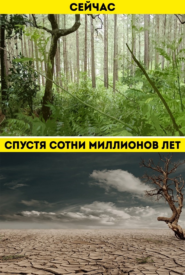 Ученые предсказали, какой будет Земля через миллионы лет, и им не так-то легко поверить Ученые предсказали, какой будет Земля через миллионы лет, и им не так-то легко поверить