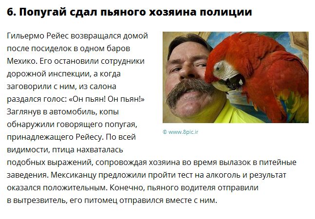 Самые странные новости уходящего года