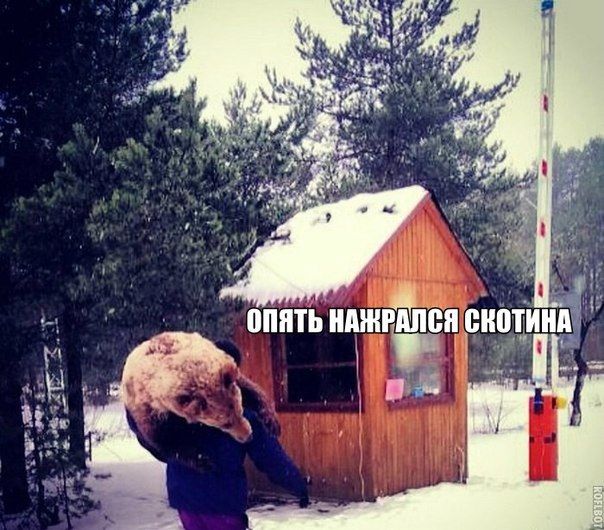 Прикольные картинки (91 фото)