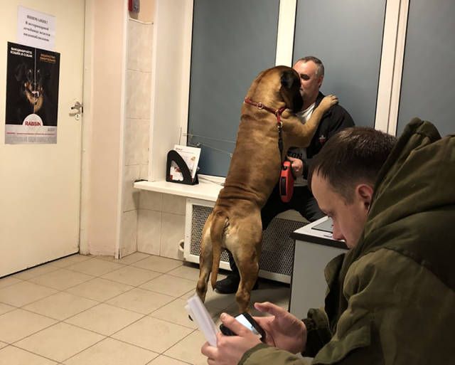 Прикольные картинки