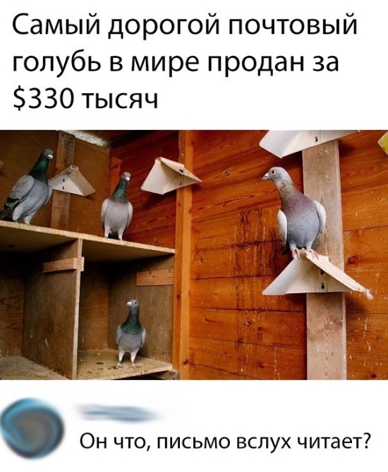 Прикольные картинки