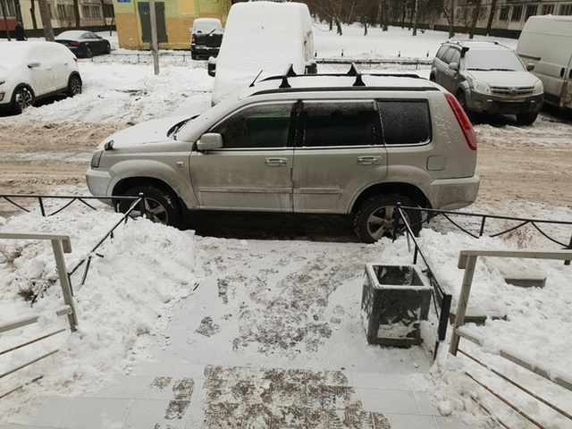 Прикольные картинки