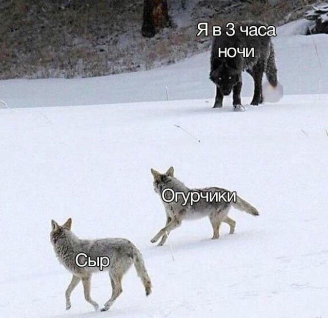 Прикольные картинки