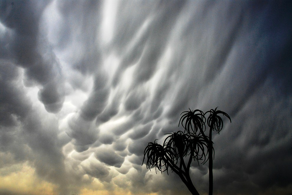 Необычные облака: Mammatus Необычные облака: Mammatus