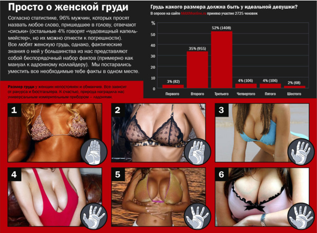 Путеводитель по женской груди Путеводитель по женской груди