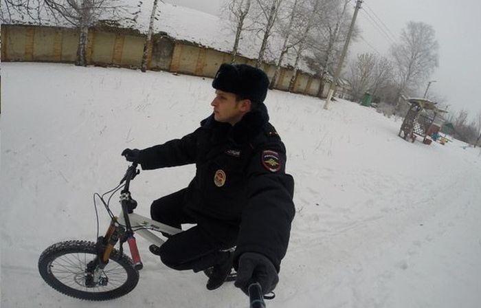 Порция картинок