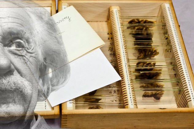 «Что нынче хранится в музеях?» или несколько весьма интересных экспонатов, смотреть на которые сможет далеко не каждый. Часть 1 «Что нынче хранится в музеях?» или несколько весьма интересных экспонатов, смотреть на которые сможет далеко не каждый. Часть 1