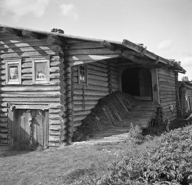 Типичная карельская изба