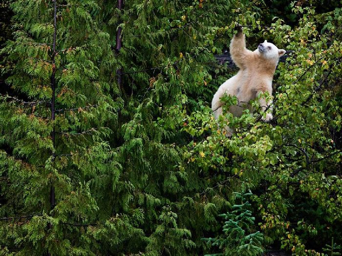 Лучшие фотографии National Geographic Russia в мае Лучшие фотографии National Geographic Russia в мае